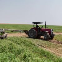 vlcsnap-2025-07-07-20h02m11s334